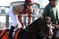 Wide Open Spinster Attracts Eleven 