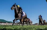 Speed figures: These are last week's fastest stakes winners