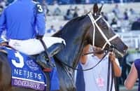 Churchill Downs: Champion filly Immersive is entered for return