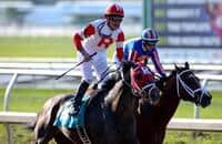 International Star Returns in Zia Park Derby