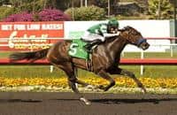 Iotapa belongs in a strong crop of three-year-old fillies