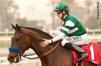 Iotapa Heads Field of Eight for Vanity