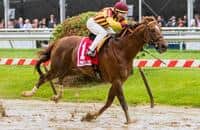 Expert picks: Stephen Foster Handicap predictions, longshots