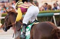 Irish Strait, half to Irish War Cry, made Tourist Mile favorite