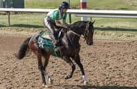 Racing's Future: Jade Cunningham