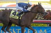 Jessica Is Back Heads Sugar Swirl