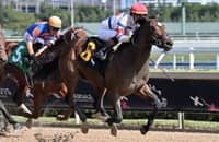 Ky. Derby prep: Jimmy's Dailys will step up for Florida Derby