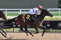 Florida Derby: Jimmy's Dailys gets 2nd try at 2 turns
