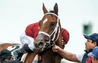 Preakness 2025: Stable notes for 7 candidates in Pimlico mix