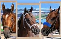 Pacific Classic: Field, odds for $1 million race at Del Mar