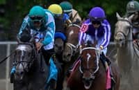 Zipse: Journalism earns champ’s stripes in Preakness battle