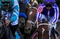 Zipse: Journalism earns champ’s stripes in Preakness battle