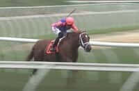 Del Mar: Draws for Saturday’s Debutante, John C. Mabee