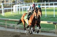 Kentucky Derby contender Resilience breezes Monday