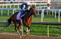 Monday works: Just F Y I leads 30 graded stakes winners on tab