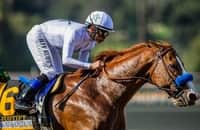 Rosario, Gun Runner, Justify are elected to Hall of Fame