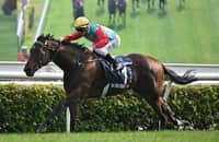 Hong Kong: Ka Ying Rising gets 'dream' draw in Chairman's Sprint