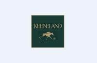 Graydar Colt Sells for $190,000 at Keeneland November Sale