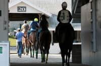 Saturday tab: Thorpedo Anna, Sierra Leone lead BC crowd