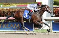 Kentucky Derby 2015 Injury/Missing Report - March