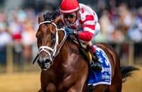 Zipse: King for (Another) Day? Haskell contender looks legit