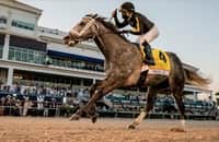 Pegasus World Cup 2022: Field, posts, odds for $3 million race