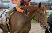 Thursday tab: Kopion works ahead of Great Lady M start