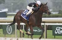 La Cara leads all the way, takes down Good Cheer in Acorn