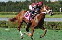 Lady Shipman to run in The Very One on Preakness 2016 undercard