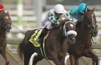 Last Call wins Natalma, earns Breeders' Cup berth for Attard