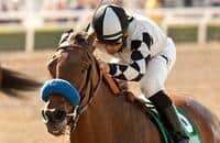 Let Faith Arise, Eblouissante Clash in Adoration