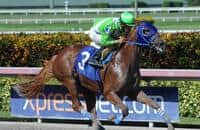 Gunnevera's stablemate Lirica impresses in South Florida