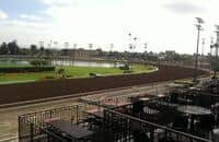 Los Alamitos will run 2 stakes during 6-day September meet