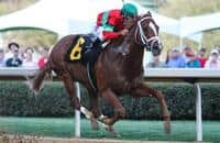 Malagacy doing great after Rebel Stakes victory