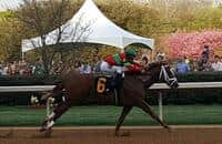 Festival of the South Barn Notes for April 14