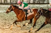 Early Look: See probables for Stephen Foster, 10 other stakes
