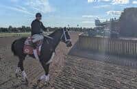 King's Plate winner Mansetti is 2-1 favorite for Prince of Wales