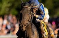 Mineshaft-bound Maxfield has been a study in patience