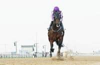 2018 Kentucky Derby: Mendelssohn pedigree profile