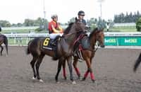 Canadian Triple Crown: Midnight Mascot tops Prince of Wales field