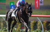 Midnight Storm, Om scheduled to meet again in Del Mar Mile