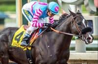 Finest City, Midnight Storm among Sunday workers at Santa Anita