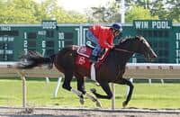 Mind Control, sixth in sloppy Carter, aims for G1 Vanderbilt
