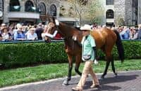 Kentucky Derby Winner Mine That Bird to Parade at SunRay Park Saturday