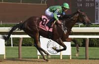 Zipse: Steady New York-bred Mo Plex trounces Ohio Derby foes