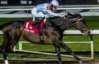 Analysis: Knicks Go can lose the Cornhusker to this stalker 