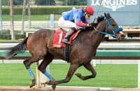 Mongolian Groom upsets Solomini in Santa Anita feature