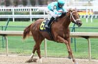 Monomoy Girl chasing Oaks dreams in Rachel Alexandra