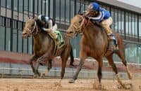 Mr. Big News, 3rd in last year's Ky. Derby, returns from layoff 
