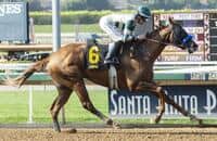 Haskell on the radar for Affirmed Stakes winner Mucho Gusto